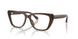 6251 - Brown