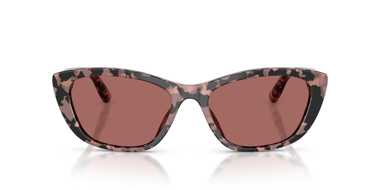 347669 - Tortoise - Dark Violet