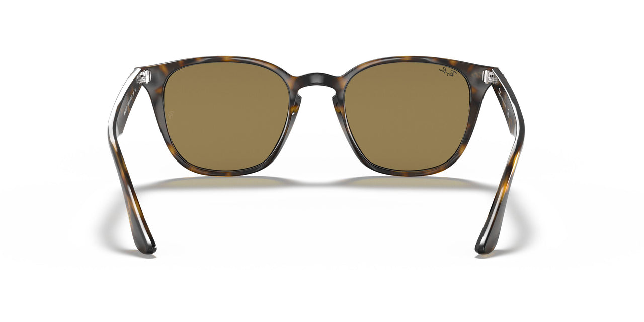 710/73 - Havana - Brown