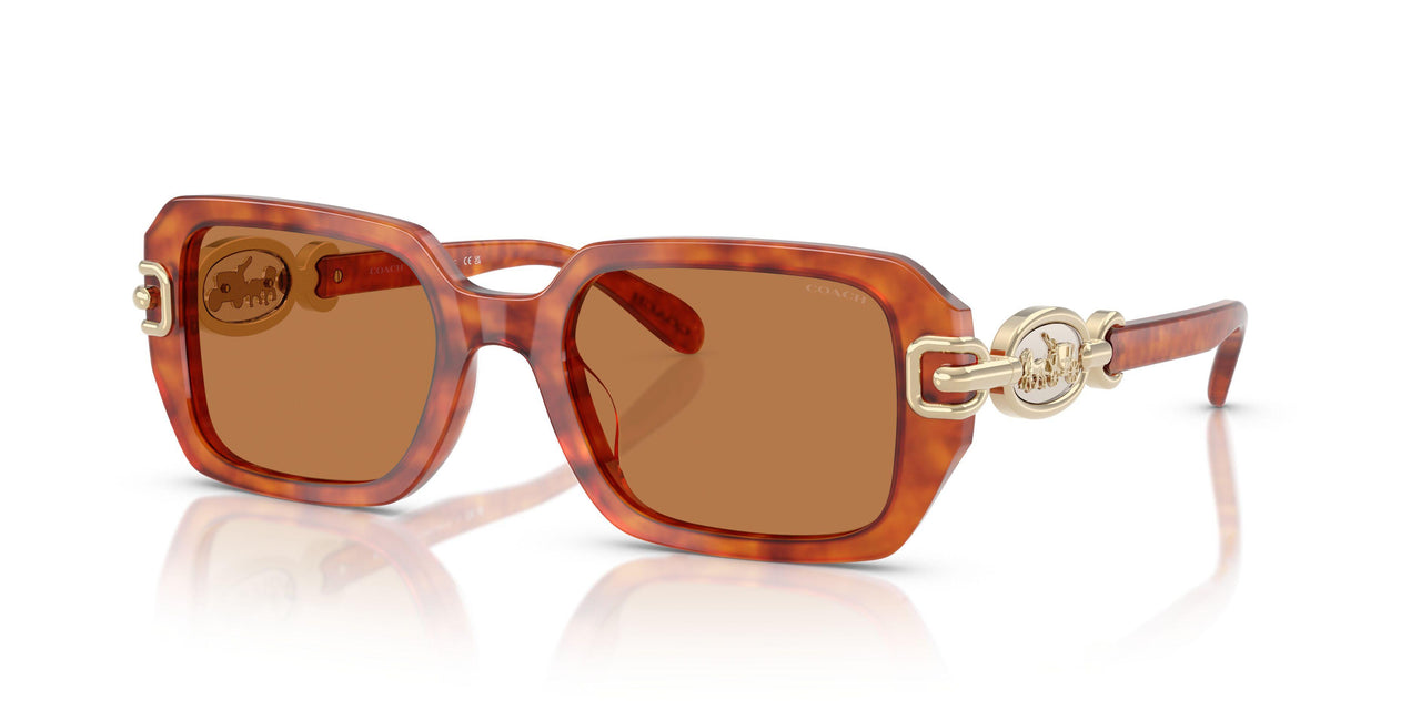 577473 - Tortoise - Amber Solid