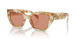 19N20D - Brown - Brown