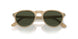 116931 - Brown - Green