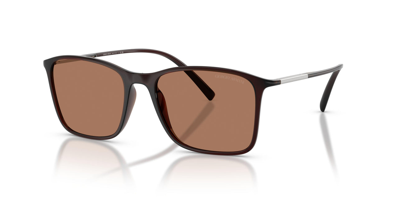 623973 - Brown - Brown