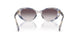 634311 - Tortoise - Grey Gradient