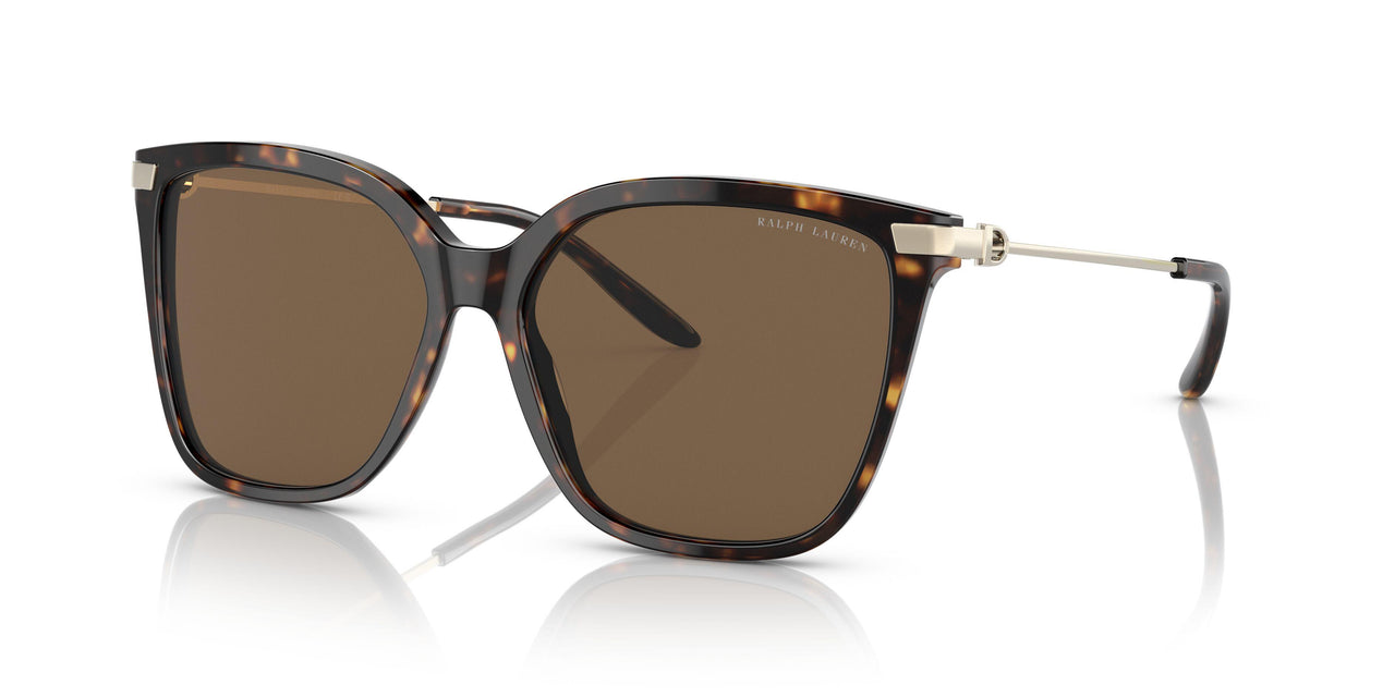 500373 - Havana - Dark Brown