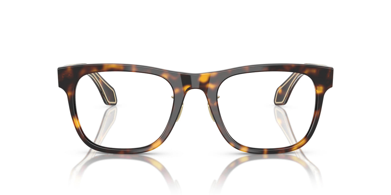 5026 - Tortoise