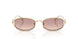110913 - Gold - Brown Gradient