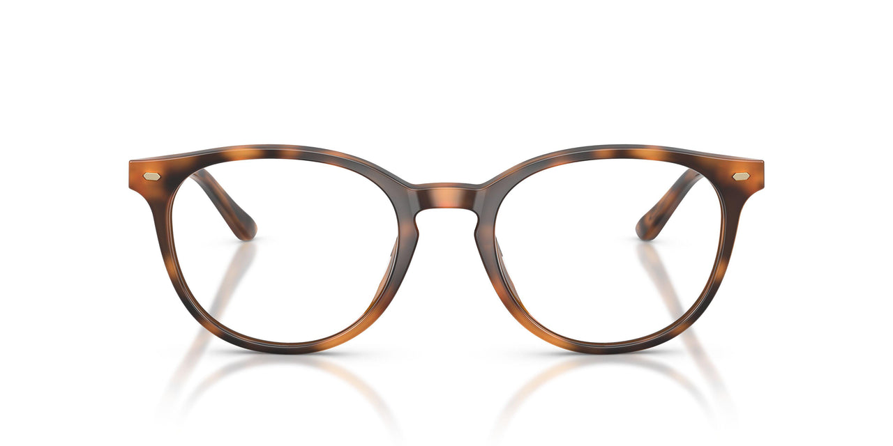 6161 - Tortoise