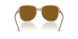 299083 - Brown - Dark Brown Polar