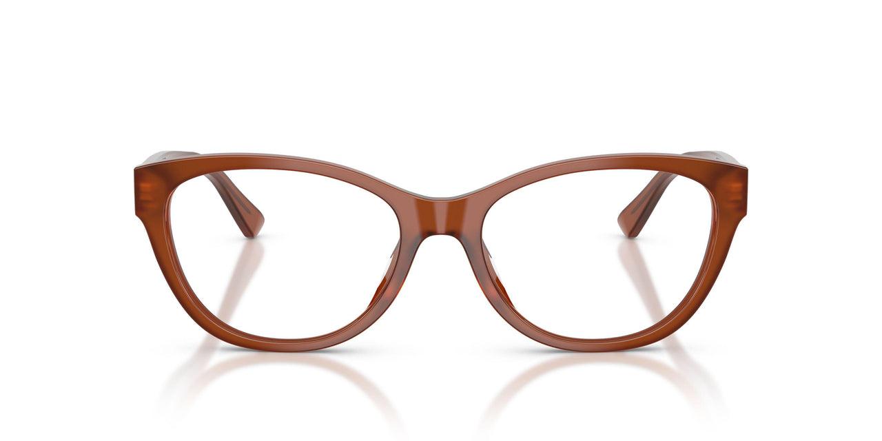 6306 - Brown