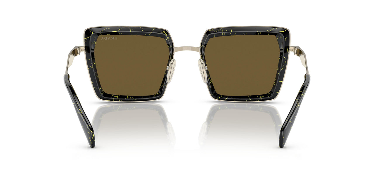 19D01T - Black - Dark Brown