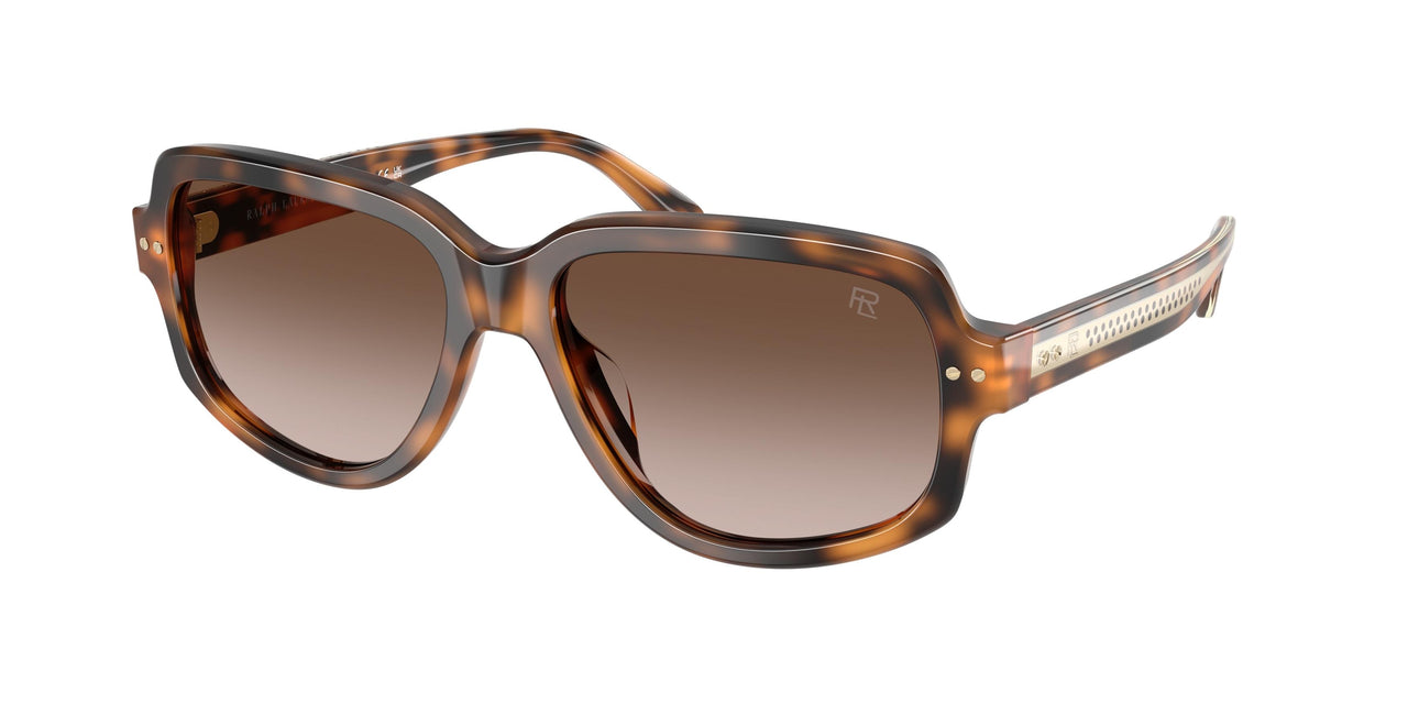 608913 - Tortoise - Gradient Brown