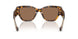 551473 - Tortoise - Dark Brown