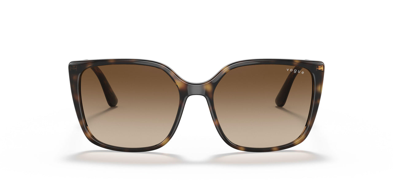 W65613 - Havana - Brown Gradient
