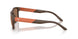 624373 - Brown - Dark Brown