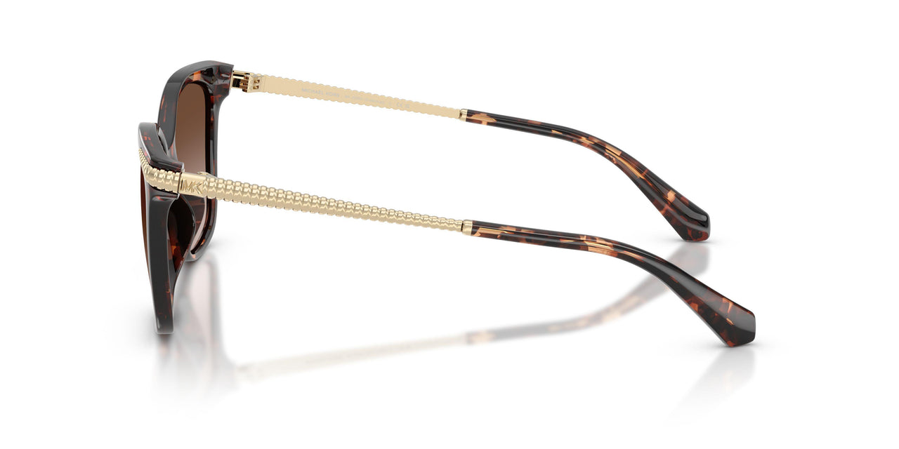 403113 - Tortoise - Brown Gradient