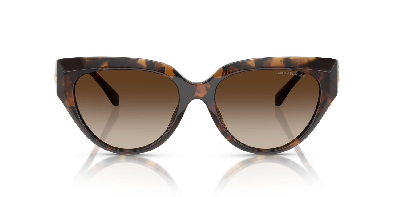 300613 - Tortoise - Smoke Gradient