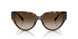 300613 - Tortoise - Smoke Gradient