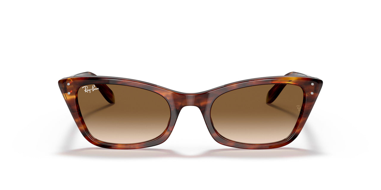 954/51 - Havana - Clear Gradient Brown