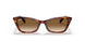 954/51 - Havana - Clear Gradient Brown