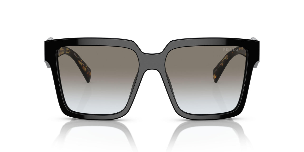 1AB0A7 - Black - Grey Gradient