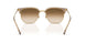 691851 - Brown - Clear Gradient Brown