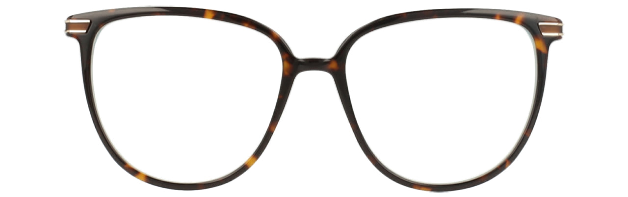 550 - Tortoise