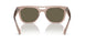 6727/3 - Beige - Brown