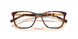 W656 - Brown