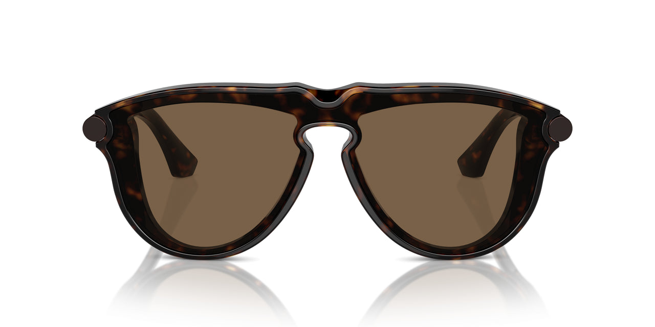 300273 - Brown - Brown