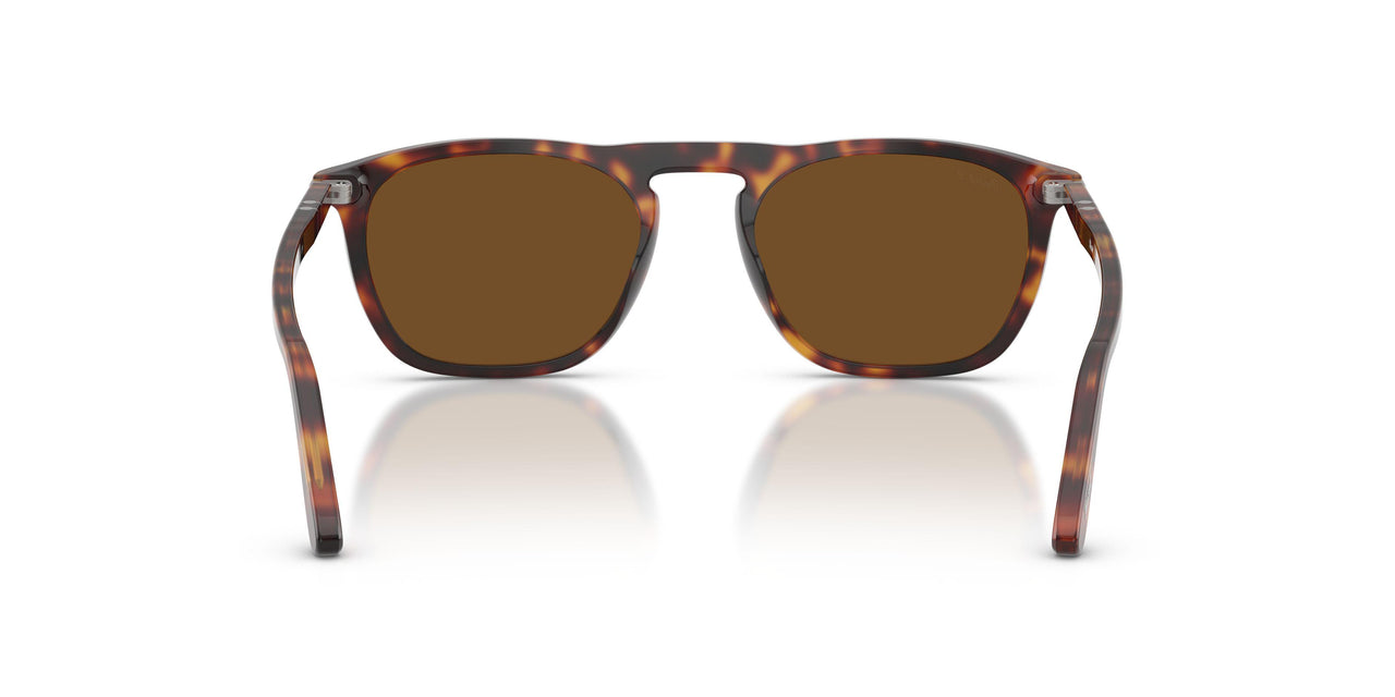 24/57 - Tortoise - Polar Brown