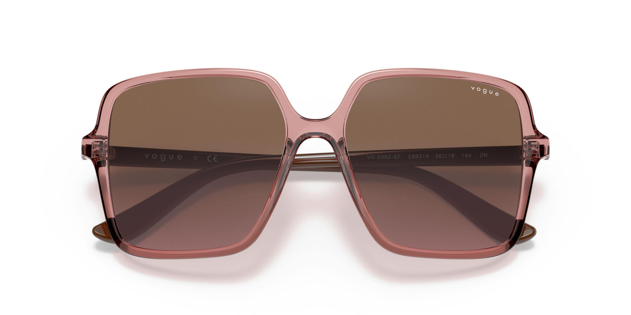 288314 - Pink - Violet Gradient Brown