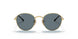 001/3R - Gold - Dark Blue Polar