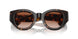 300213 - Brown - Brown Gradient