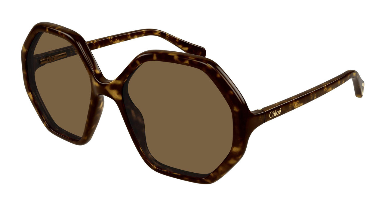 008 - Havana - Brown