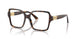 5002 - Tortoise