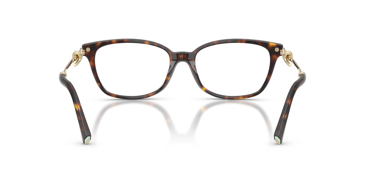 8015 - Tortoise