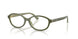 Polo 2311U Eyeglasses