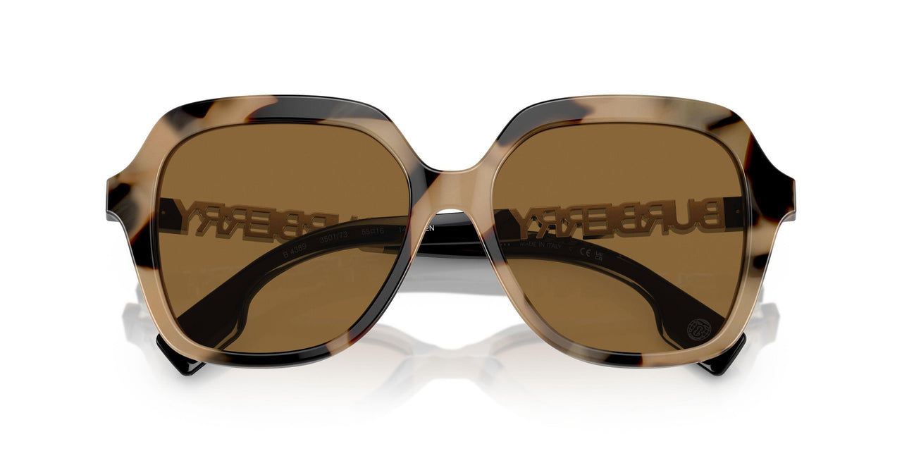 350173 - Brown - Bronze