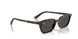 135987 - Tortoise - Dark Grey