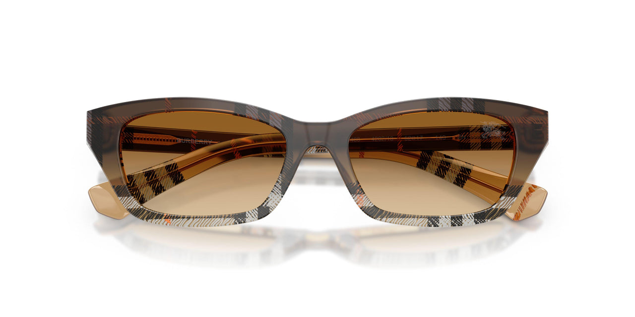 420213 - Brown - Brown Gradient