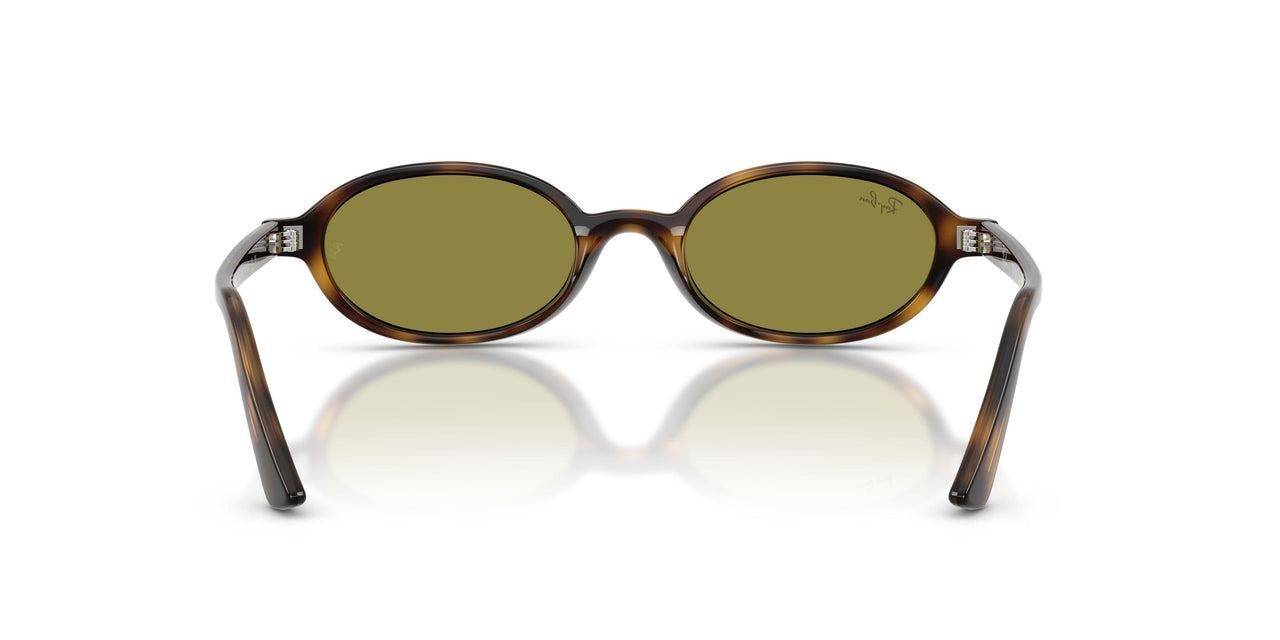 1359/2 - Tortoise - Green