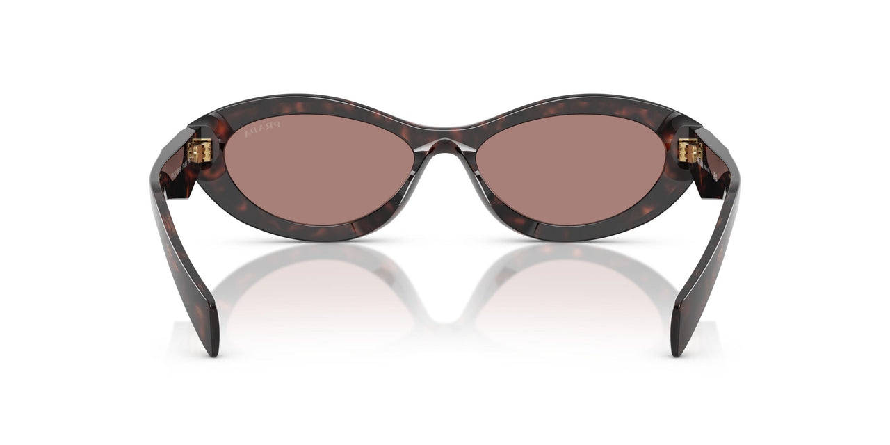 17N60B - Tortoise - Light Brown