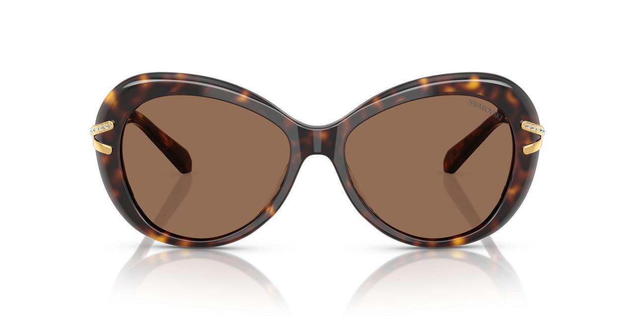 100273 - Tortoise - Dark Brown