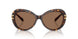 100273 - Tortoise - Dark Brown