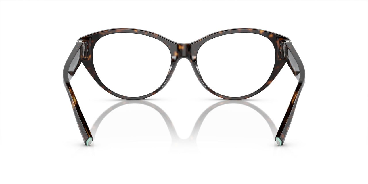 8015 - Tortoise
