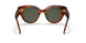 954/31 - Havana - Green