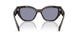 17N03N - Tortoise - Grey