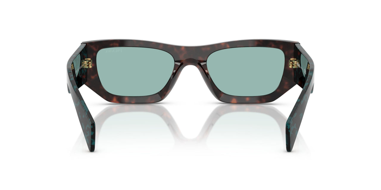 18Z40K - Tortoise - Petrol Green