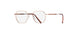 3530 - Glossy Rosegold